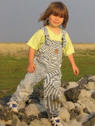 Bild von Lasse